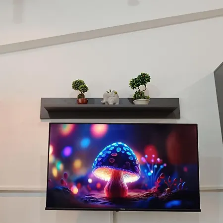 Apartamento Nitro 1 Premium Cozy - Wine Tasting - Souvenir - Art Gallery - Private Guided Tours - Relaxing - Romantic